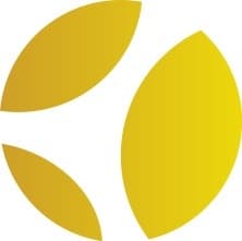 Customer Logo